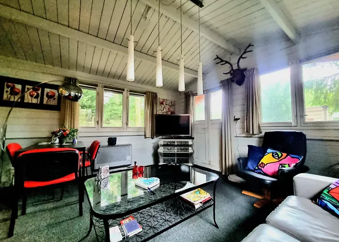 Chalet Op Een Rustig Park In De Natuur