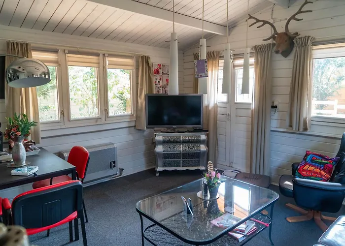 Chalet Op Een Rustig Park In De Natuur