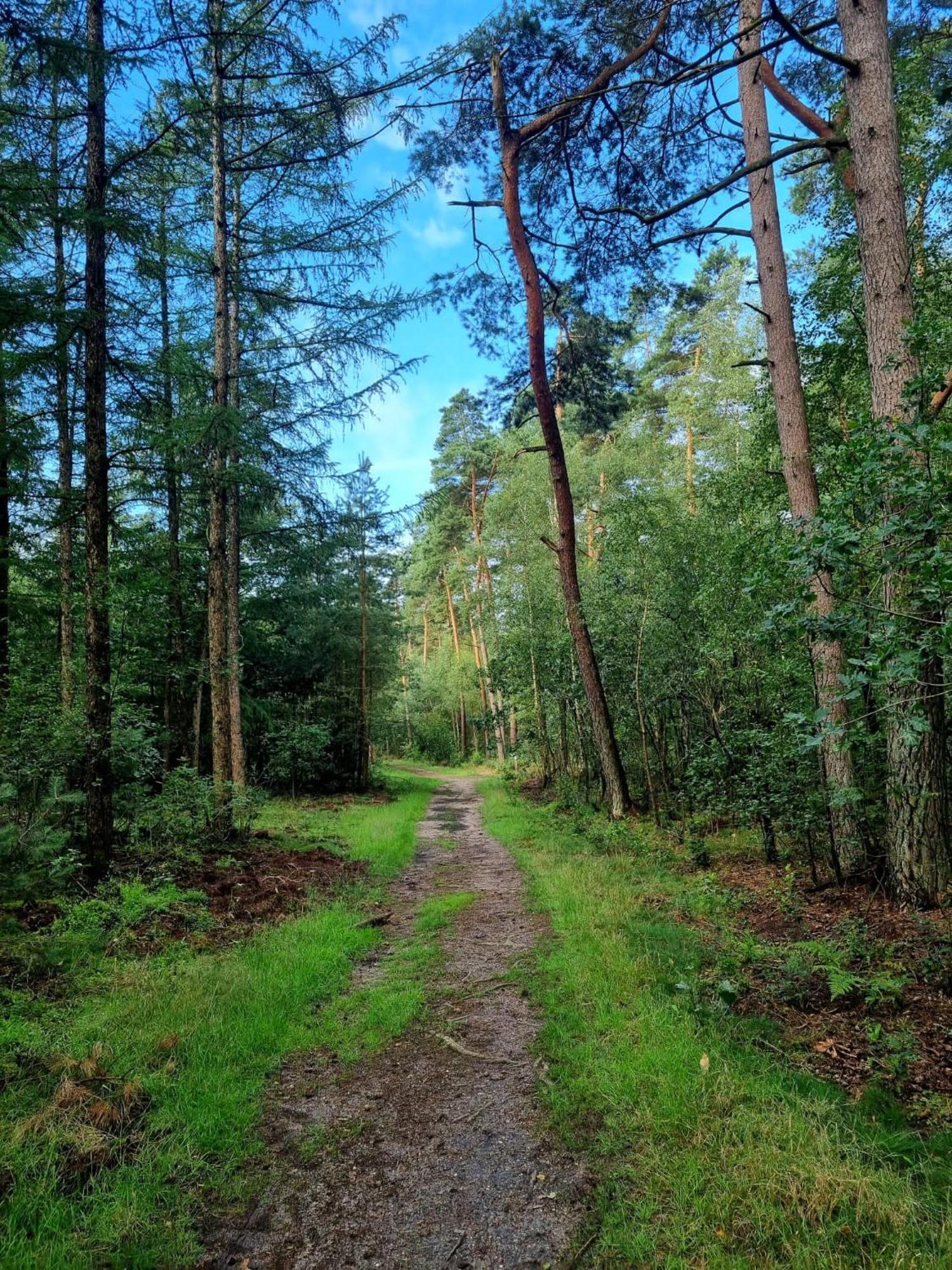 Op Rustig Park In De Chalet *