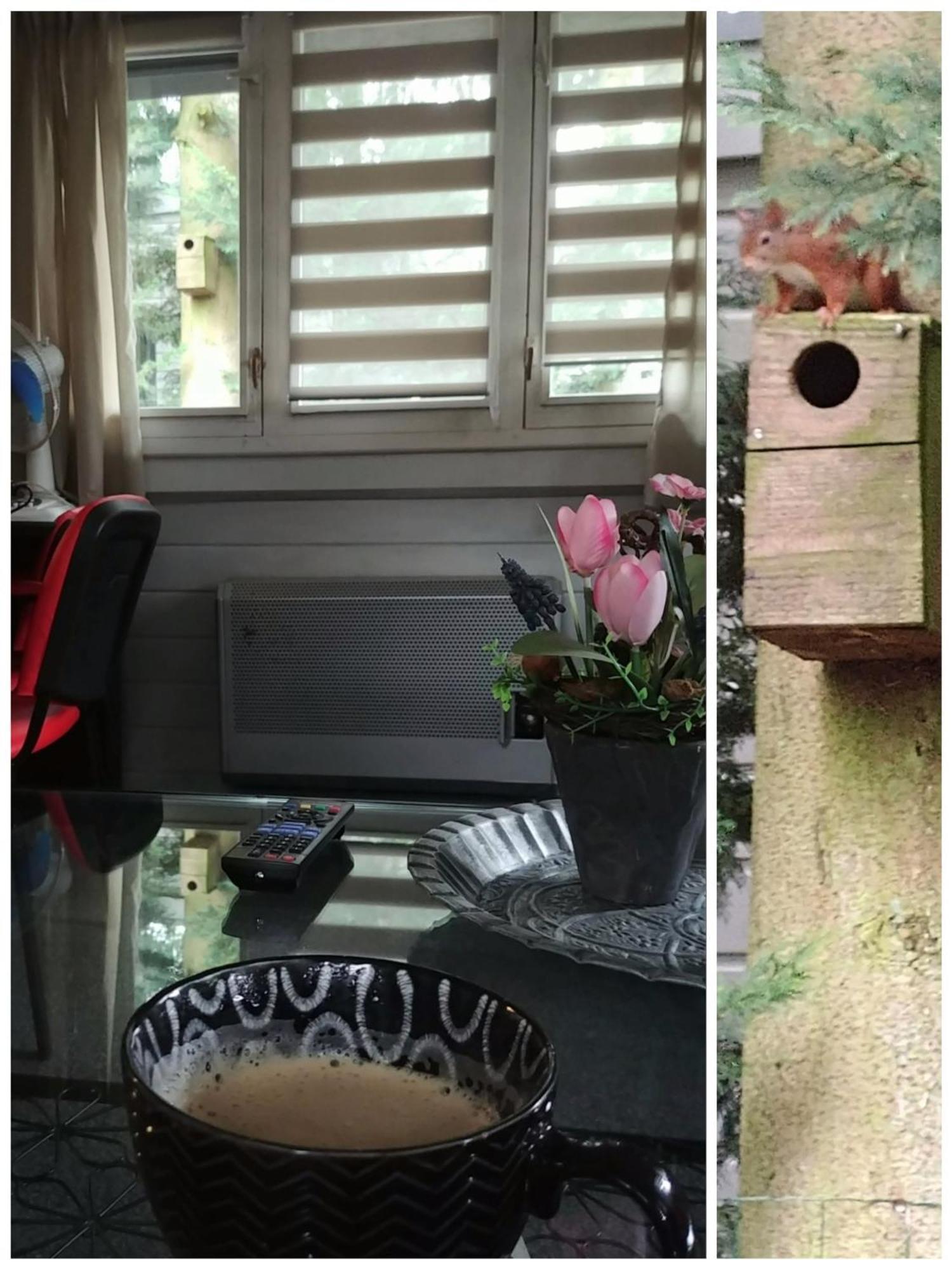 Op Rustig Park In De Chalet Putten